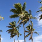 Dominikana - porady praktyczne, jak tanio spędzić wakacje?