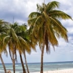 Kuba - Playa Larga & Playa Giron