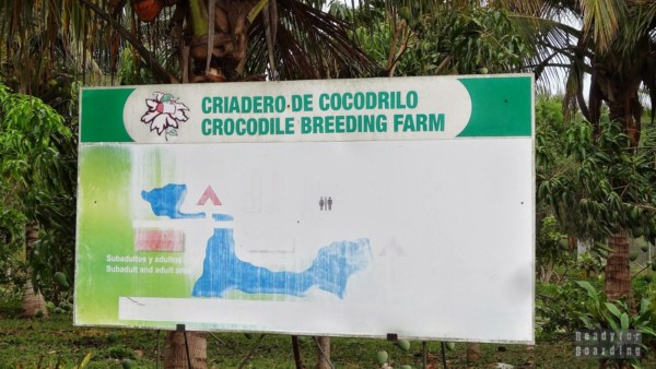 Farma Krokodyli - Kuba