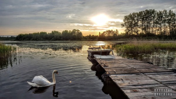 Jezioro Piniewo - Folwark Karczemka