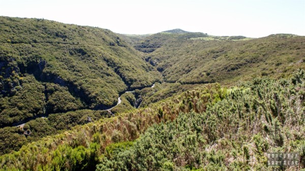 Widok z Paúl da Serra - Madera