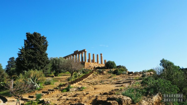 Tempio di Giunone, Agrigento - Sycylia
