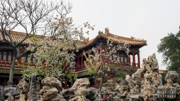 Imperial Gardens, Forbidden City, Beijing
