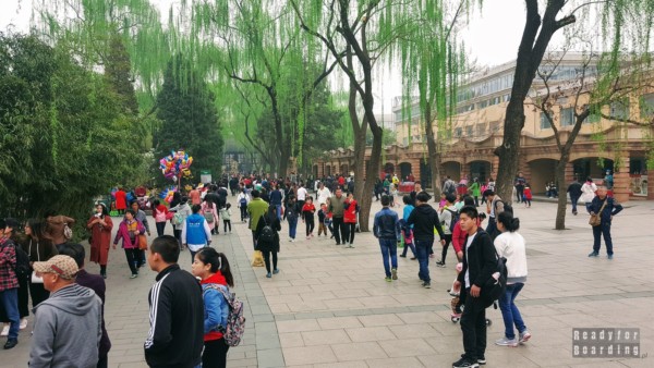 Zoo w Pekinie, Chiny
