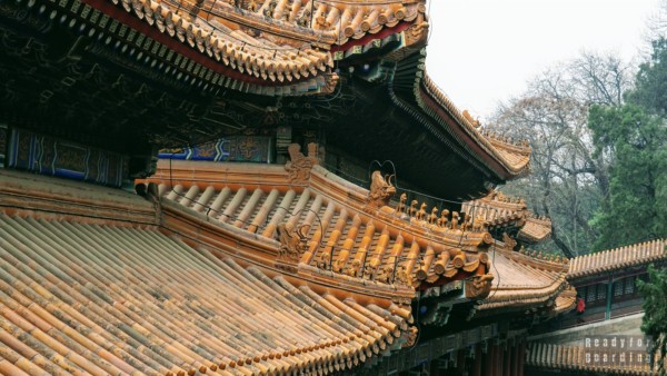 Buddyjska Świątynia Morza Mądrości, Pałac Letni w Pekinie