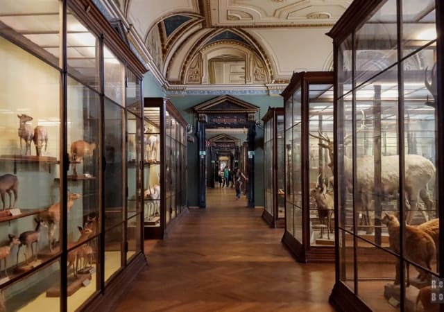 Muzeum Historii Naturalnej, Wiedeń - Austria