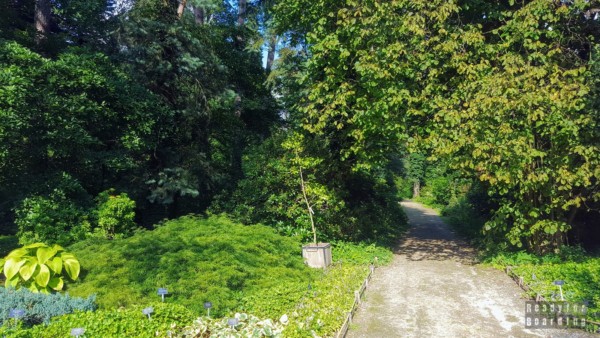 Arboretum in Rogów