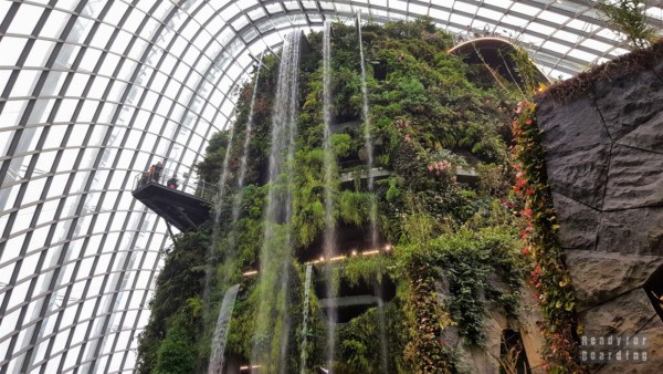 Cloud Forest, Gardens by the Bay - Singapur
