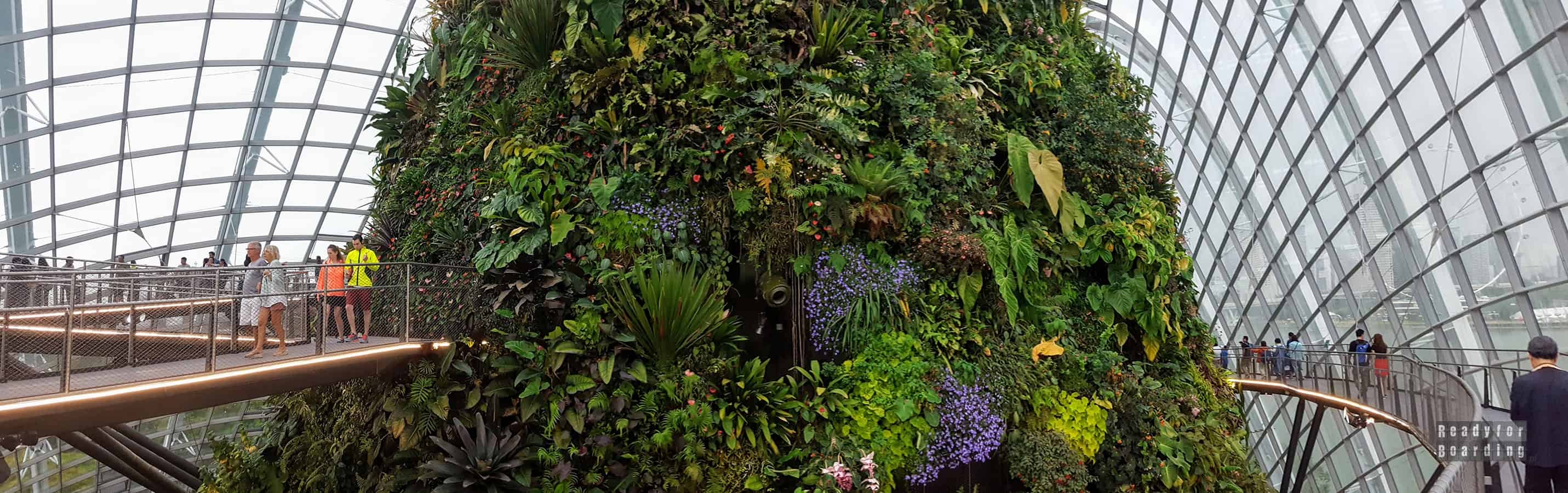 Panorama: Cloud Forest, Gardens by the Bay – Singapur