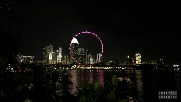 Widok z Gardens by the Bay - Singapur