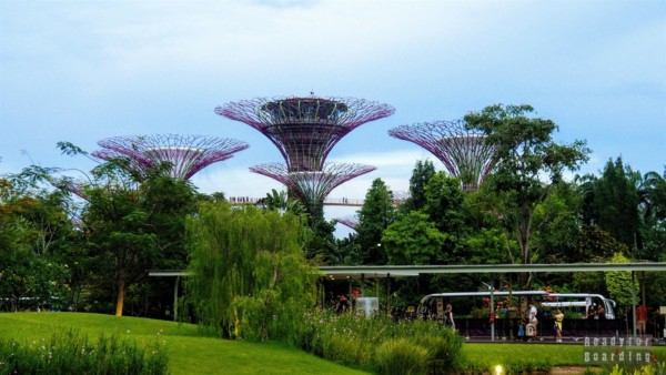 Supertree Grove, Gardens by the Bay - Singapur