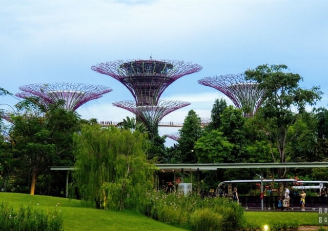 Supertree Grove, Gardens by the Bay - Singapur