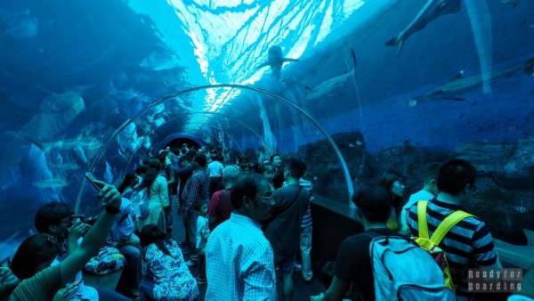 S.E.A. Aquarium - Sentosa, Singapur