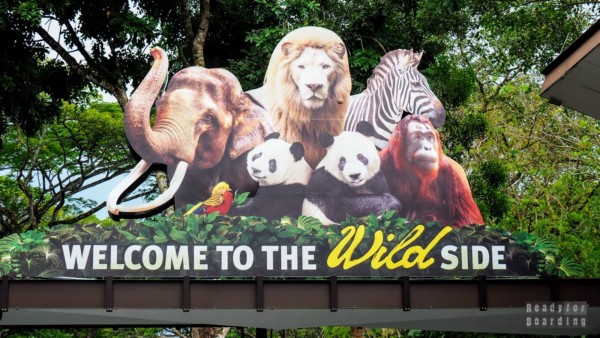 Ogród zoologiczny w Singapurze