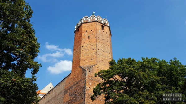Royal castle in Leczyca, Lodz province