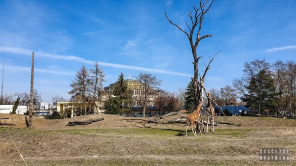 Ogród zoologiczny we Wrocławiu