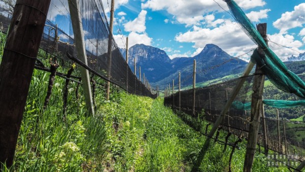 Roter Hahn – agroturystyka w Południowym Tyrolu