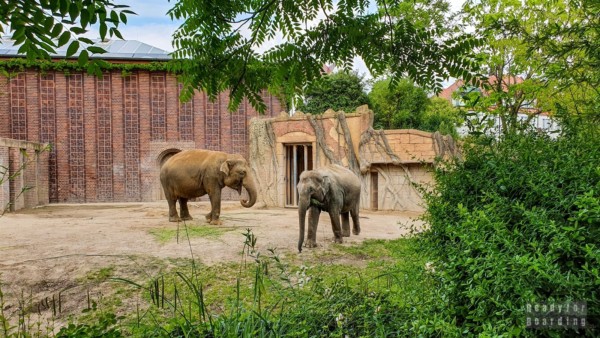 Zoo w Lipsku - Niemcy
