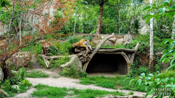 Leipzig Zoo - Germany