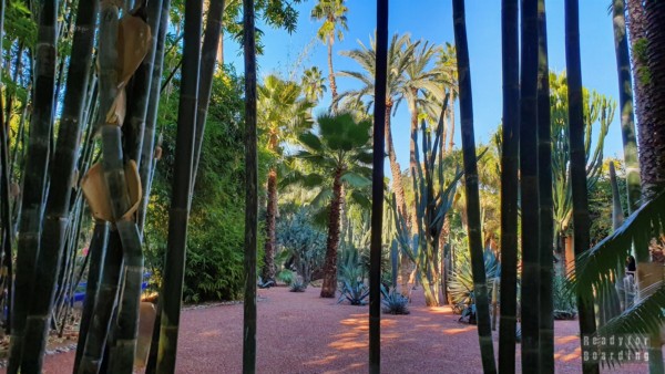 Ogród Majorelle, Marrakesz - Maroko