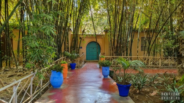 Ogród Majorelle, Marrakesz - Maroko