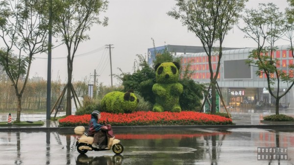 Chengdu, Chiny - Pandy i wiele więcej!