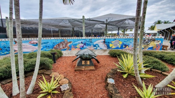 Ośrodek dla żółwi morskich - Loggerhead Marinelife Center, Floryda, USA