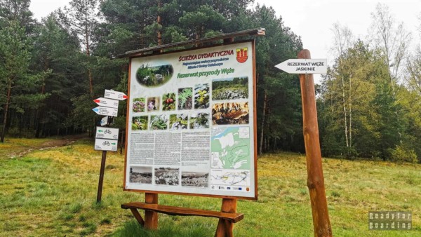 Snake Nature Reserve - Załęczański Landscape Park