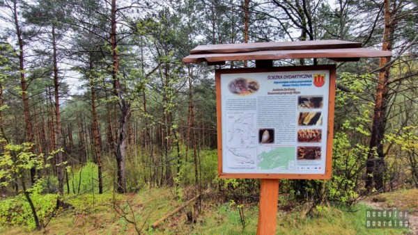 Snake Nature Reserve - Załęczański Landscape Park