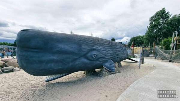 Whale Park in Rewal