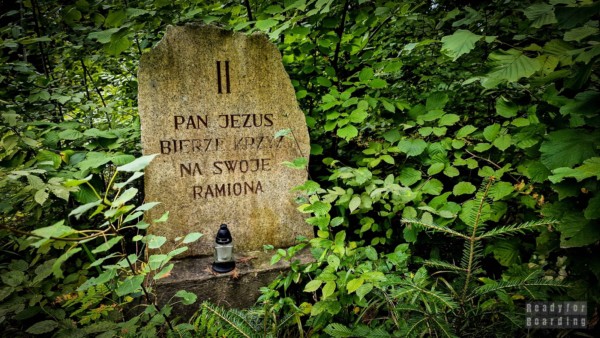 Wykus Nature Reserve, Sieradowicki Landscape Park - Świętokrzyskie Mountains