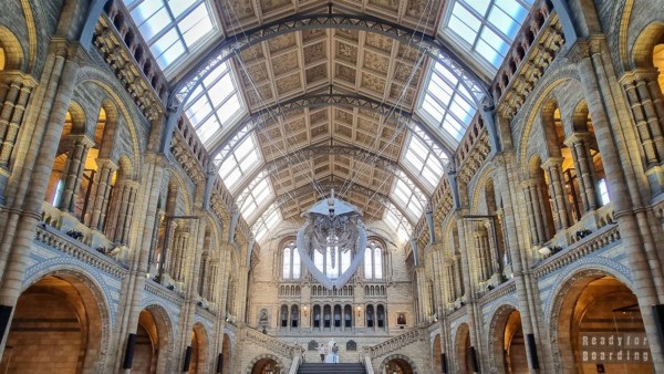 Darmowe muzea w Londynie - Muzeum Historii Naturalnej w Londynie